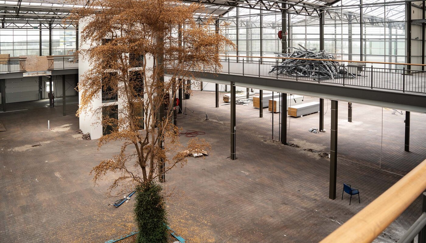 Neubau Venlo Kees Smit Gartenmöbel