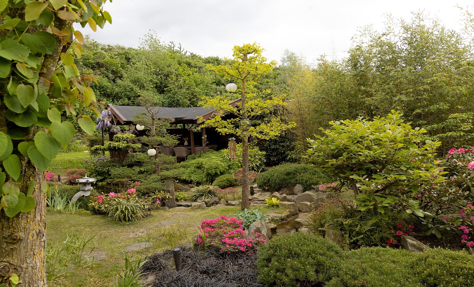 Japanse tuin ideeën – tips voor de Japanse droomtuin